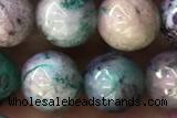 CHRY32 15 inches 8mm round chrysocolla gemstone beads