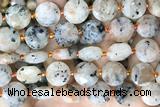 COIN100 15 inches 12mm faceted coin sunstone beads