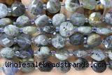 COIN20 15 inches 10mm faceted coin labradorite gemstone beads