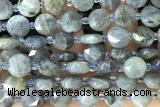 COIN25 15 inches 10mm faceted coin labradorite gemstone beads