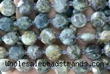 COIN56 15 inches 12mm faceted coin rhyolite gemstone beads