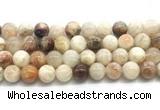 CSS853 15.5 inches 12mm round sunstone beads wholesale