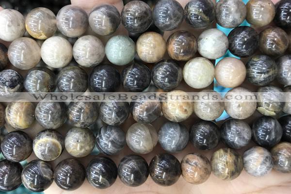 SUNS07 15 inches 10mm round black sunstone gemstone beads