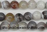 CAA225 15.5 inches 10mm round botswana agate gemstone beads