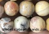 CAA2351 15.5 inches 10mm round crazy lace agate beads wholesale