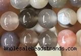 CAA2379 15.5 inches 6mm round Botswana agate beads wholesale