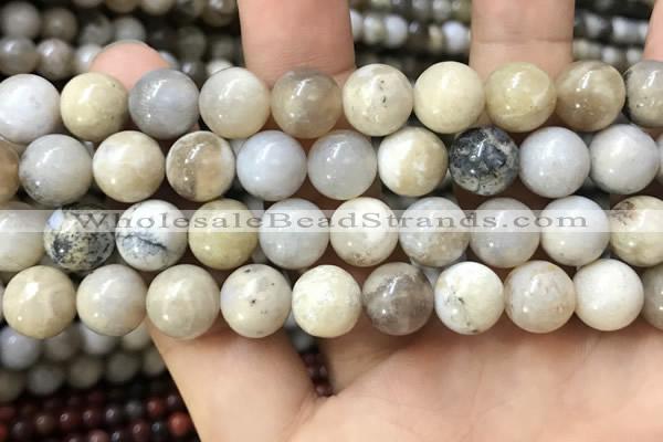 CAA3585 15.5 inches 12mm round ocean fossil agate beads wholesale