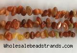 CAA3807 15.5 inches 8*12mm - 10*14mm chips red agate beads wholesale