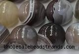 CAA4867 15.5 inches 10mm round Botswana agate beads wholesale