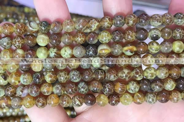 CAA5036 15.5 inches 4mm round yellow dragon veins agate beads