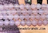 CAA5085 15.5 inches 14mm round purple agate beads wholesale