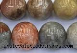 CAA5812 15 inches 10mm round chrysanthemum agate beads