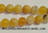 CAA90 15.5 inches 12mm round botswana agate gemstone beads