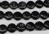 CAE44 15.5 inches 10mm flat round astrophyllite beads wholesale