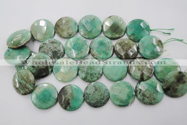 CAG1616 15.5 inches 30mm faceted coin green grass agate beads