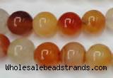 CAG2375 15.5 inches 12mm round red agate beads wholesale