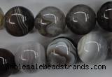 CAG3686 15.5 inches 16mm round botswana agate beads wholesale