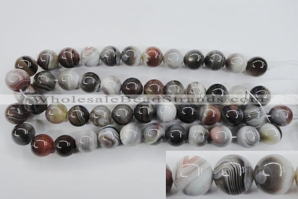 CAG3686 15.5 inches 16mm round botswana agate beads wholesale