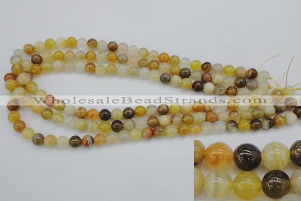 CAG4322 15.5 inches 8mm round botswana agate gemstone beads