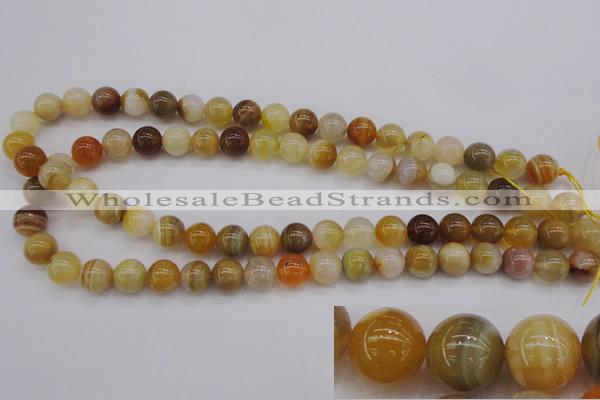 CAG4323 15.5 inches 10mm round botswana agate gemstone beads