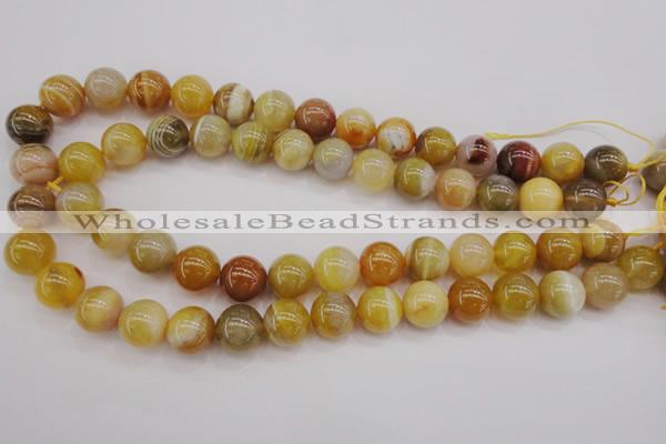 CAG4325 15.5 inches 14mm round botswana agate gemstone beads