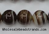 CAG5905 15 inches 16mm round Madagascar agate gemstone beads