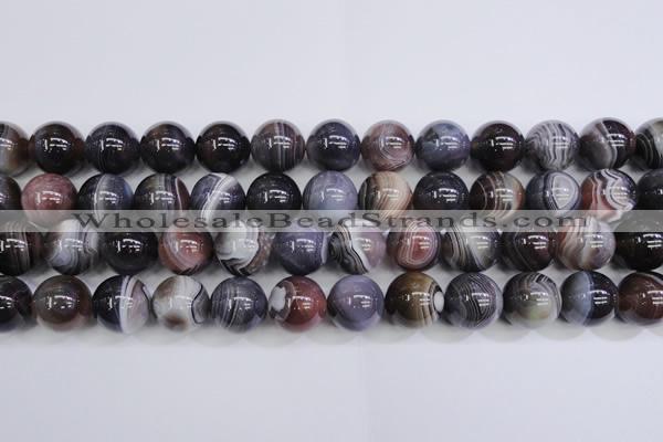 CAG5957 15.5 inches 18mm round botswana agate beads wholesale