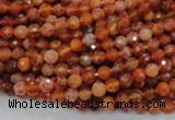 CAG618 15.5 inches 4mm faceted round natural fire agate beads