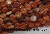 CAG629 15.5 inches 8mm coin natural fire agate beads wholesale