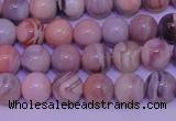 CAG7302 15.5 inches 8mm round red botswana agate gemstone beads