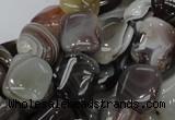 CAG737 15.5 inches 10*14mm rectangle botswana agate beads wholesale