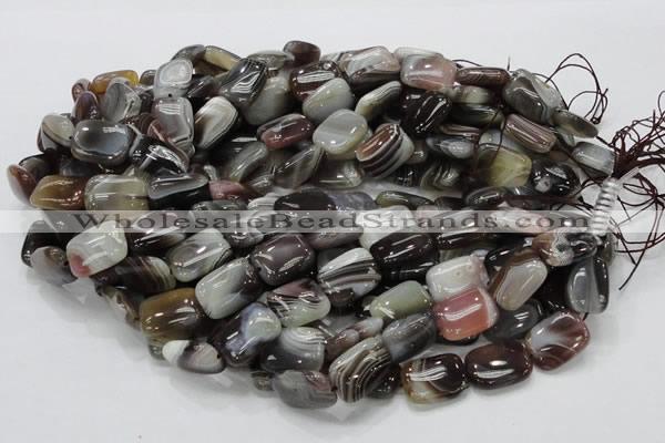 CAG738 15.5 inches 12*16mm rectangle botswana agate beads wholesale