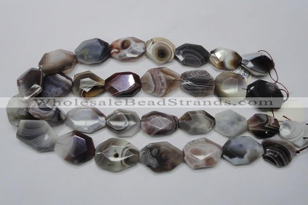 CAG761 15.5 inches 18*25mm faceted freeform botswana agate beads