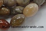 CAG773 15.5 inches 13*19mm rice yellow agate gemstone beads