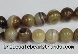 CAG938 16 inches 10mm round madagascar agate gemstone beads