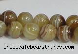 CAG939 16 inches 12mm round madagascar agate gemstone beads