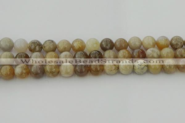 CAG9404 15.5 inches 12mm round ocean fossil agate beads wholesale