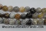 CAG971 15.5 inches 6mm round bamboo leaf agate gemstone beads