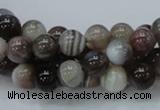 CAG980 15.5 inches 10mm round botswana agate beads wholesale