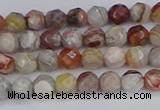 CAG9860 15.5 inches 4mm faceted round Mexican crazy lace agate beads