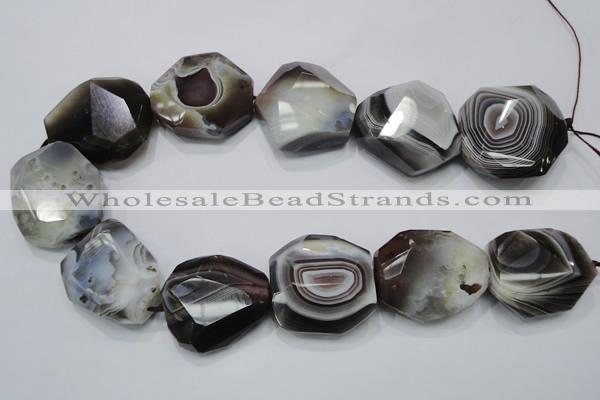 CAG992 15.5 inches 30*40mm faceted freeform botswana agate beads