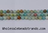 CAM04 10mm  round mixed color natural amazonite beads Wholesale