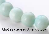 CAM19 15.5 inches 12mm natural amazonite round beads Wholesale