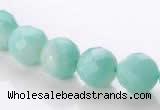 CAM28 10mm natural amazonite faceted round stone beads Wholesale