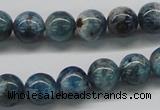 CAP06 15.5 inches 10mm round apatite gemstone beads wholesale