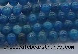 CAP360 15.5 inches 4mm round apatite gemstone beads wholesale