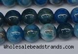 CAP412 15.5 inches 8mm round apatite gemstone beads wholesale