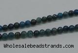 CAP51 15.5 inches 4mm round dyed apatite gemstone beads wholesale