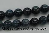 CAP54 15.5 inches 10mm round dyed apatite gemstone beads wholesale