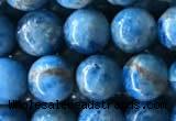 CAP584 15.5 inches 8mm round apatite gemstone beads